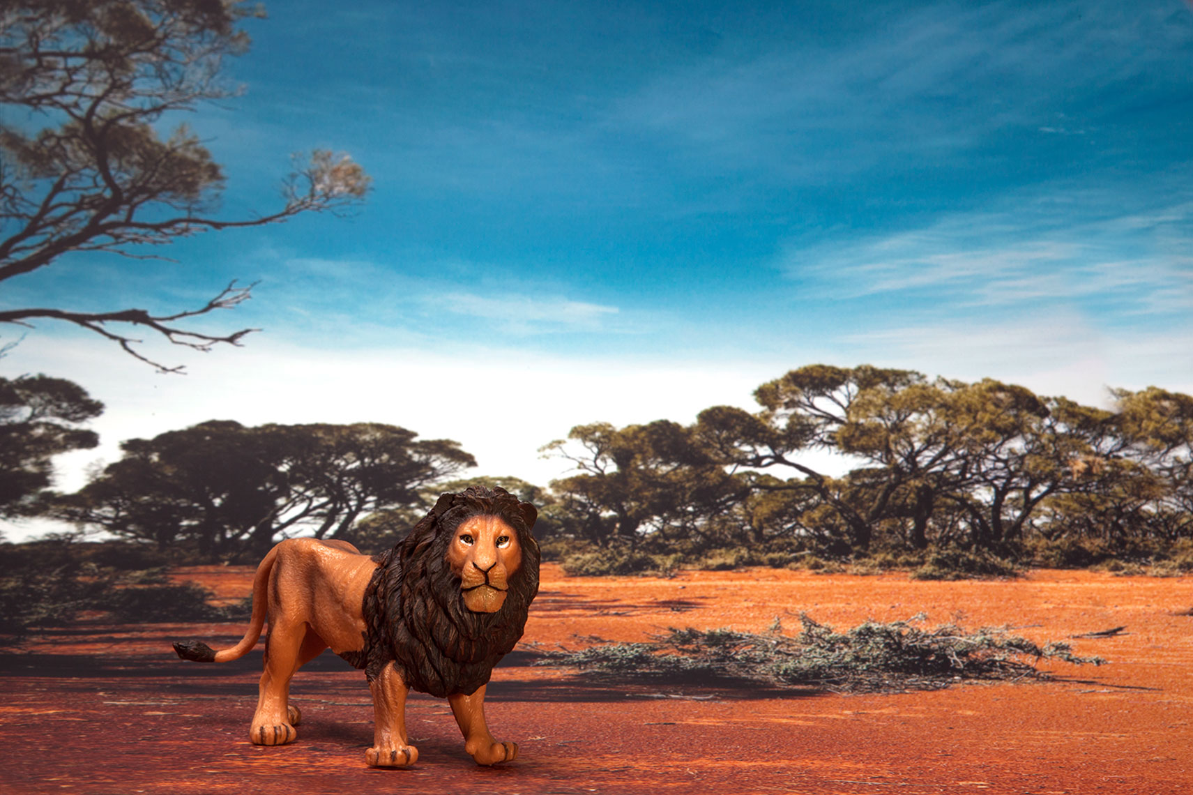 Plastiki_Lion